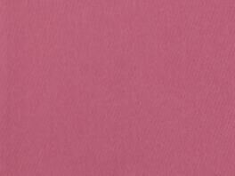 Imagem da Cor do Produto Regata Zênite Lisa - Goiaba - Elegância Minimalista com Gola Levemente Alta e Modelagem Ampla